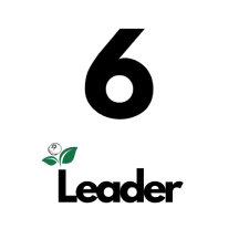 stage-6